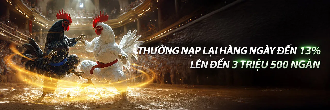 Đá Gà Thomo Ngày 24 Tháng 6 Năm 2024